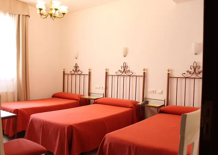 酒店 唐宝拉酒店 科爾多瓦