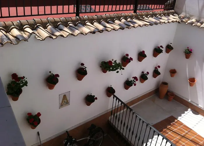 唐宝拉酒店 酒店